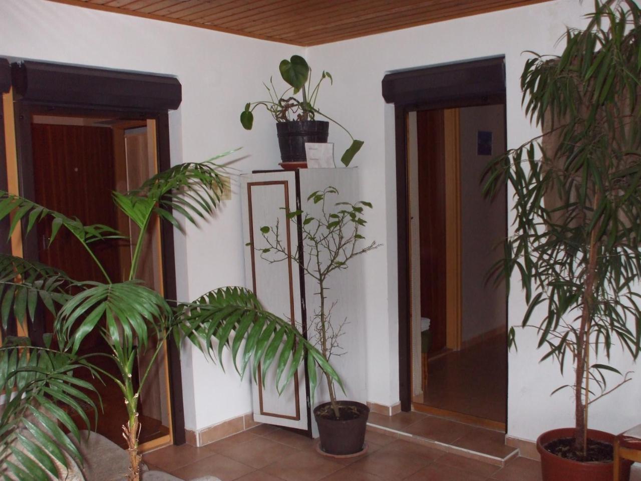 Hepphaz Apartment
